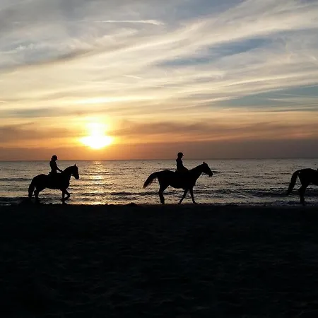 ロッジ Piastogrod 2 *