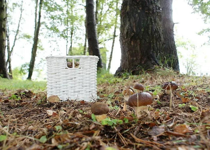 Piastogrod 2 Jaktstuga