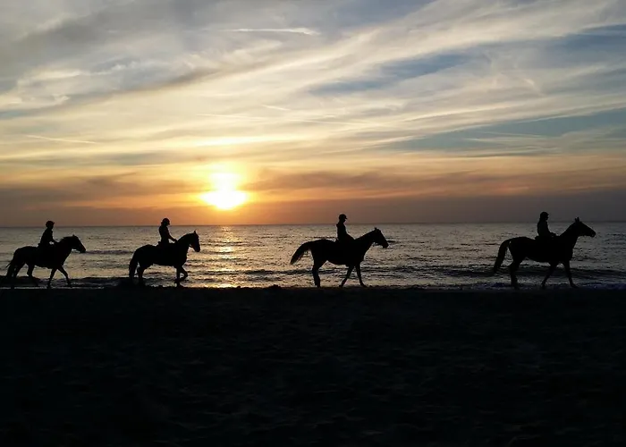 Jaktstuga Piastogrod 2 *