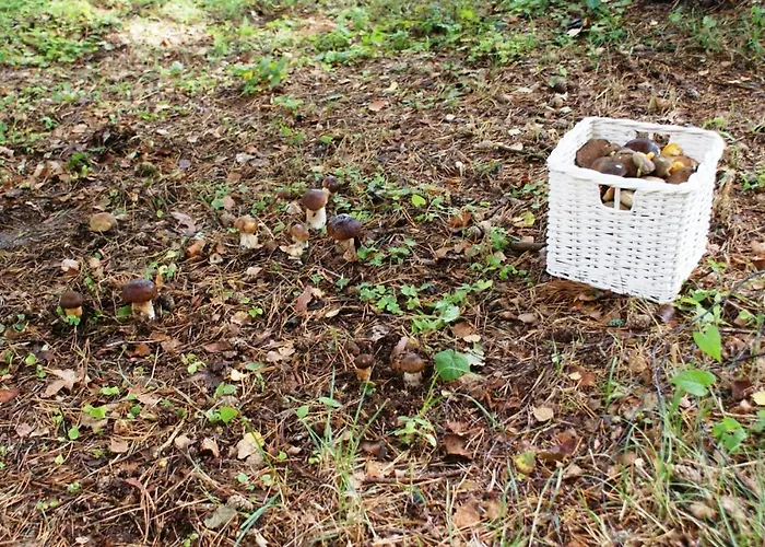 Piastogrod 2 Jaktstuga *